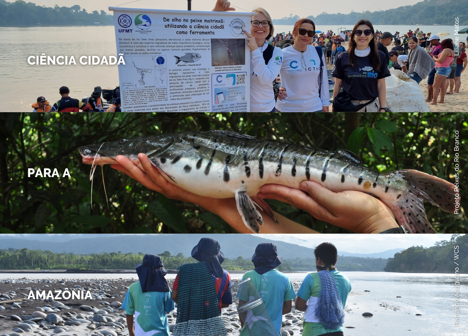 CIÊNCIA CIDADÃ PARA A AMAZÔNIA